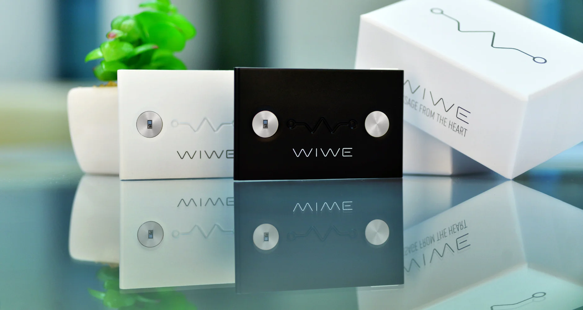 WIWE EKG monitor